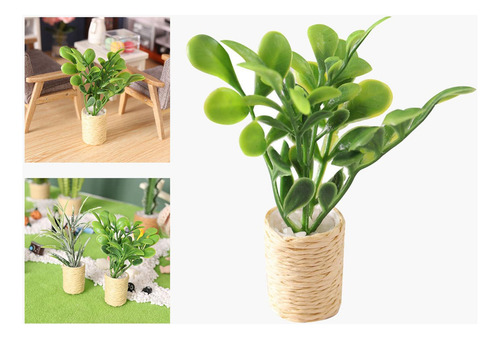 L Adorno De Vegetación Tipo Bonsái Estilo Modelo A