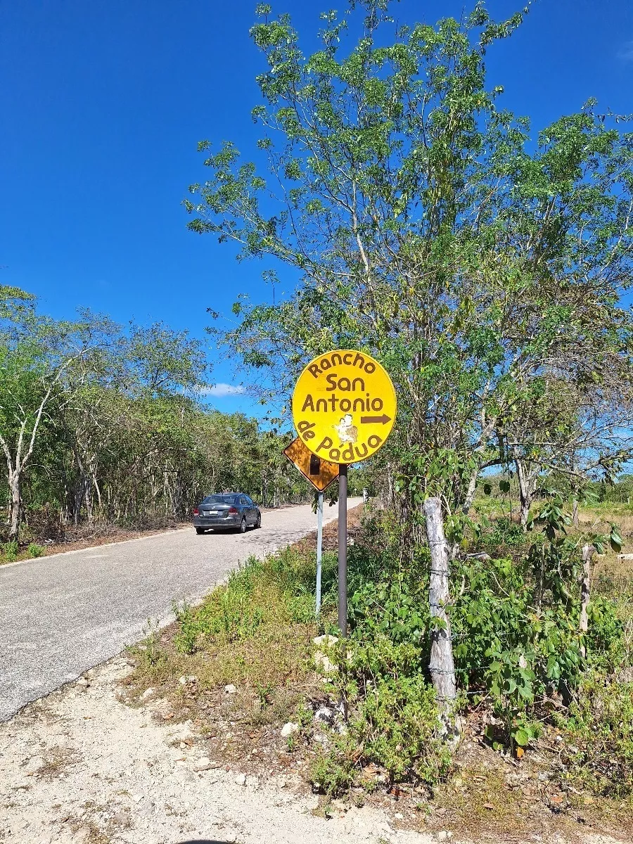 Rancho En Venta Con Cenotes En Excelente Zona Ganadera Del E