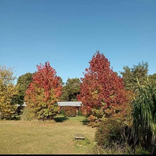 Imagen 11 de 21 de Complejo De Cabanas En Venta Miramar
