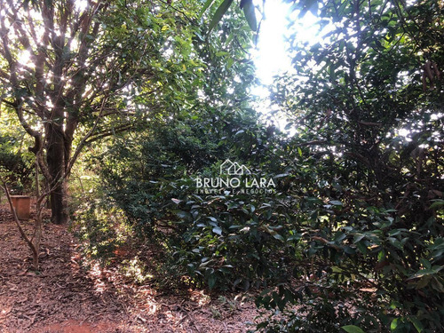 Imagem 9 de 14 de Lote A Venda Em Igarapé Bairro Jardim Colonial - Te0224