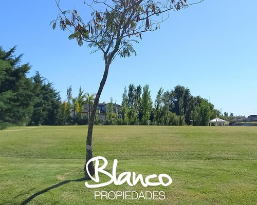 Imagen 2 de 8 de Lote Interno! Excelente Lote En San Marco - Villanueva