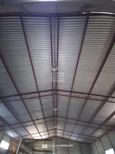 Imagen 4 de 23 de Finca Productiva De 17ha En General Alvear - Mendoza