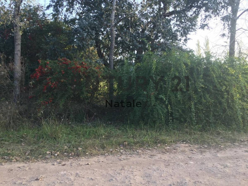 Imagen 2 de 5 de 21 Y 659.lote En Parque Sicardi