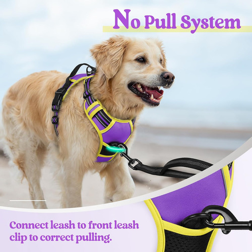 Arnés Para Perros Rabbitgoo No Pull, Ajustable, Talla L