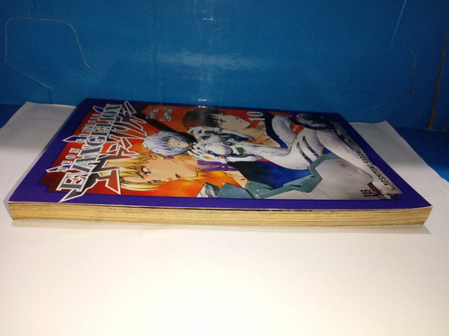Neon Genesis Evangelion 10 Especial Mangá (Usado)
