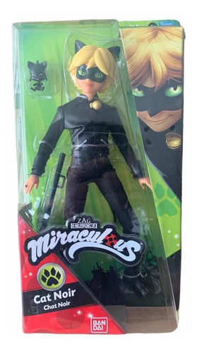 Miraculous Ladybug Y Catnoir