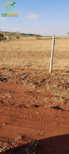 Imagem 4 de 7 de Fazenda À Venda Em Camapuã -ms - 360 Hectares (agricultura) - 2074