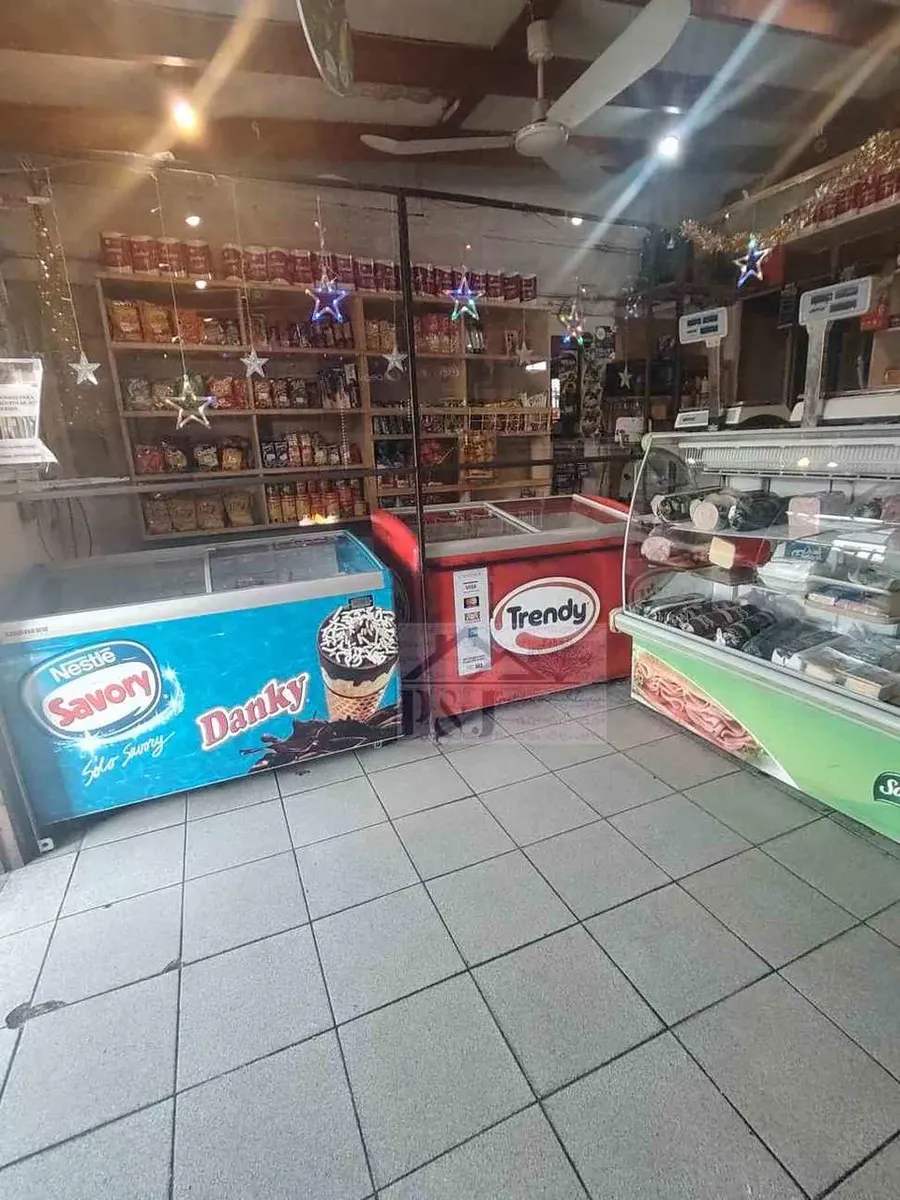 Imagen 2 de 19 de Se Vende Casa Más Almacén Con Patente Y 2 Kioskos