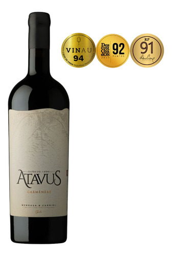 Vino Premium Atavus Carmenere Valle Cachapoal Viña Boutique 