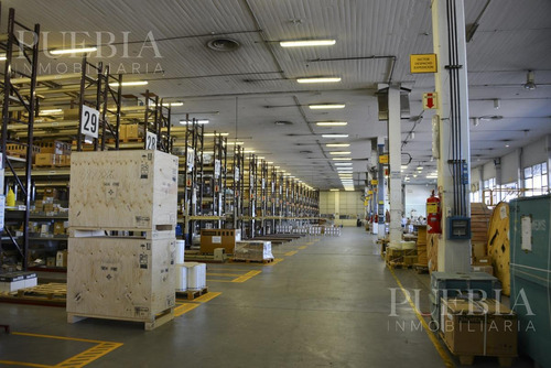 Imagen 2 de 7 de Depósito En Parque Industrial - San Martin