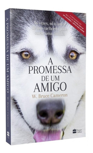 Promessa De Um Amigo, A - Harper Collins