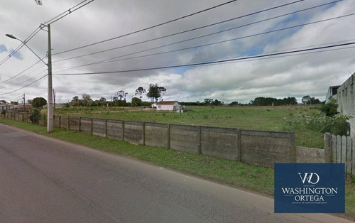 Imagem 5 de 7 de Área À Venda, 36453 M² Por R$ 18.000.000 - Planta Quississana - São José Dos Pinhais/pr - Ar0030