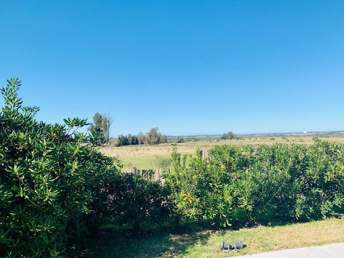 Imagen 28 de 30 de Venta Chacra 5 Hectáreas En Los Ceibos Punta Del Este