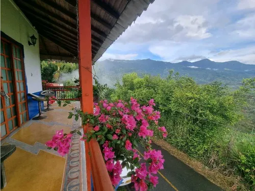 Finca De 3 Cuadras En Venta A 15 Minutos De Calarcá