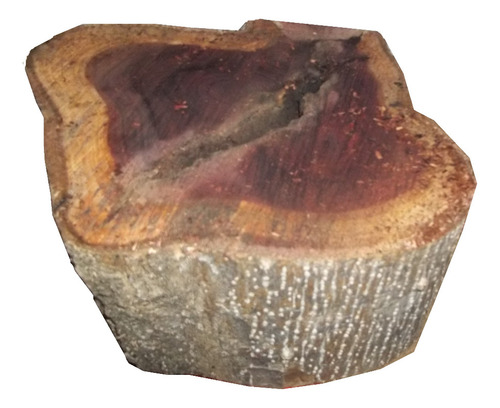 Bolacha Rústica De Pinus Para Decoração Artesenal