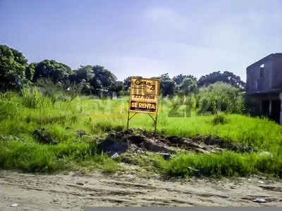 Terreno en renta