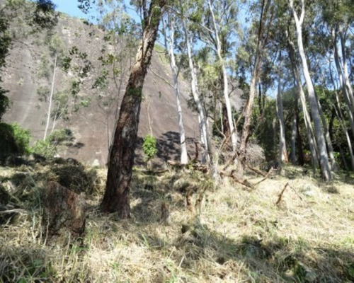 Imagem 6 de 11 de Amplo Terreno Plano No Cond. Jardim Do Itanhangá Com Vista Livre - 204200622 - 32009115