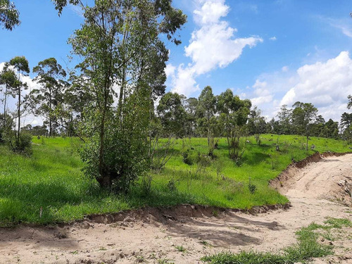 Imagem 11 de 11 de Excelente Terrenos Em São Roque Sp .. Oportunidade Única !!