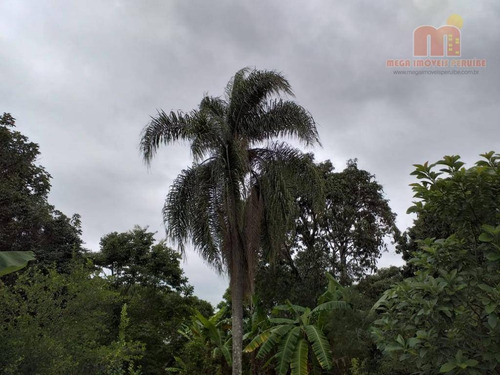 Imagem 6 de 30 de Chácara Com 2 Dormitórios À Venda, 7000 M² Por R$ 250.000,00 - Bairro Da Barra - Sarapuí/sp - Ch0111