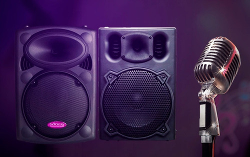 Imagen 8 de 10 de Parlante Portable Gran Potencia 10000w 250rms Usb Memoria Sd Bluetooth Gran Calidad De Sonido + Microfono Y C. Remoto