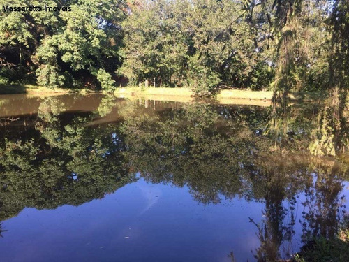 Imagem 3 de 19 de Fazenda - A Venda - Amparo - Fa00001 - 69257207