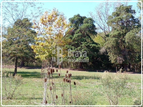 Imagen 3 de 9 de Excelente Lote De 8000 Mts2