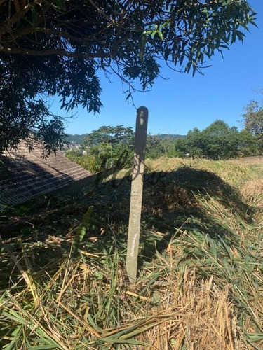 Imagem 9 de 9 de Terreno A Venda No Bairro Trindade - Florianópolis, Sc - Fl64404