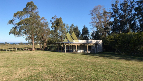 Imagen 9 de 12 de 2 Casas En Balneario Bs As Orden De Vender!, Con Renta!!!!