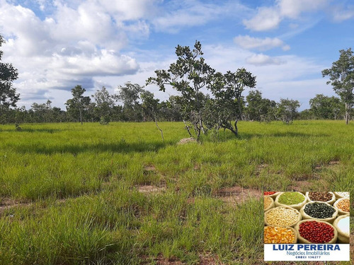 Imagem 6 de 6 de Fazenda À Venda Em Pacajá - Pa - De 365 Alqueirões (dupla Aptidão) - 1671