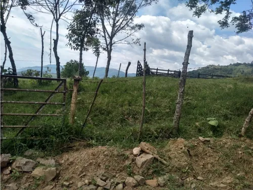 Vendo Finca Ganadera Cerca A La Cabecera De Armenia Mantequilla Ant.