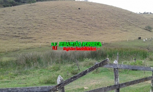 Imagem 8 de 15 de Fazenda Em Santa Branca 125 Alqueires - 805