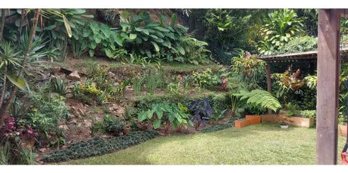 Rhbr-11497 (casa Sector Los Balsos)