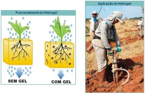 Imagem 3 de 3 de Gel Para Plantio - Mantém A Hidratação Radicular (1kg)
