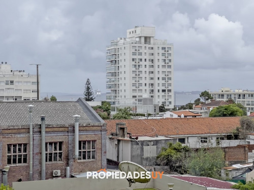 Imagen 9 de 22 de Apartamento De Dos Dormitorios Y Un Baño