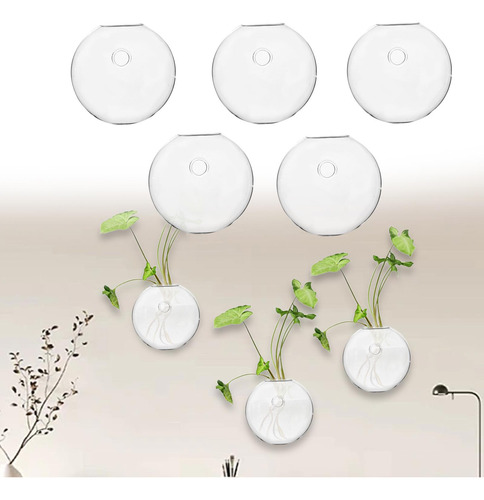 2 X 5pcs Wall Hooks Planter Wall Mounted Light Transmitting