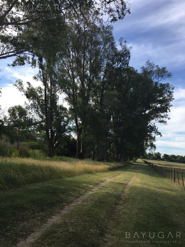 Imagen 24 de 30 de Venta - Campo En Cardales - Bayugar Negocios Inmobiliarios