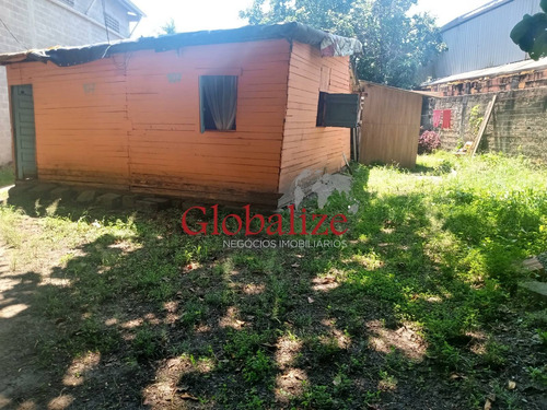Imagem 13 de 16 de Terreno - Te00005 - 70482597