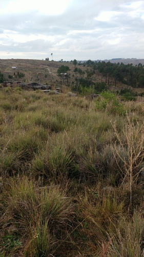 Imagen 6 de 12 de Preventa Financiado Tierras Del Cacique Yan Lotes 1200 M2 Villa Yacanto De Calamuchita - Córdoba