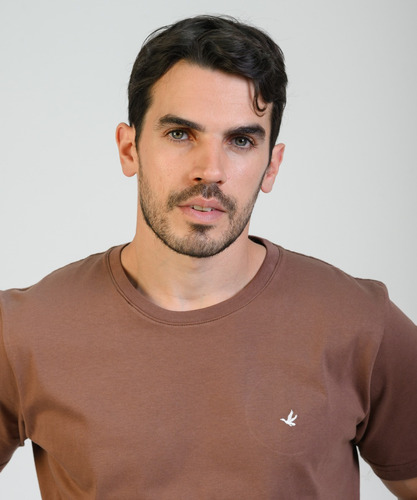 Remeras Hombre Brooksfield Algodón Premium Lisa Moda 1091b