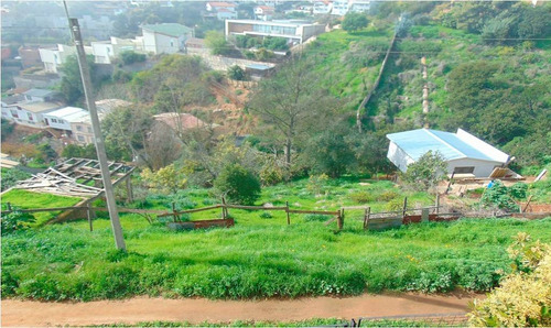 Región Valparaiso (73811)