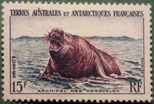 Imagen 7 de 7 de Antártida Francesa. Serie: Pingüinos Y Focas. Año 1956.