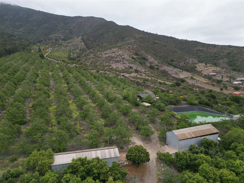 Parcela Agrícola Con Producción En Los Maquis