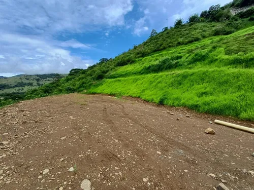 Venta De Lotes Campestres En Titiribí Excelente Ubicación Y Clima (vista A Cerro Tusa) Al Lado De La Siria