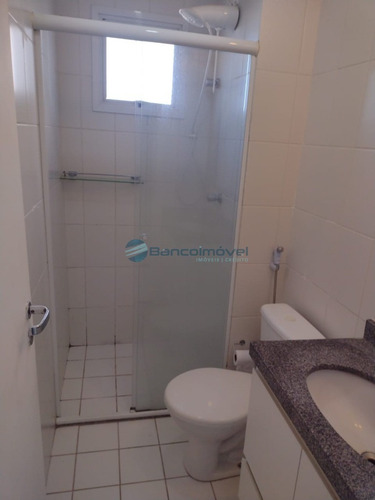 Imagem 8 de 15 de Casas Para Alugar Em Campinas, Casa Para Alugar Em Campinas, Chacaras Para Alugar Em Campinas, Chacara Para Alugar Em Campinas, Apartamentos Para Alug - Ap03649 - 70545607