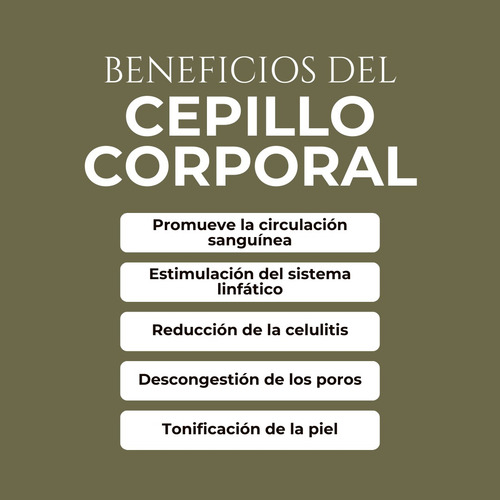Cepillo Curvo Brazos Y Piernas F/blanda By Michelle Organic