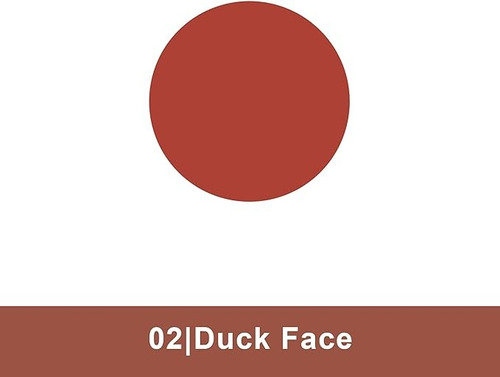 Labial Stay Matte 8h - Essence - 02 Duck Face