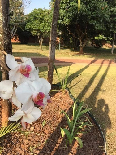 Chácara Com 3 Dormitórios À Venda, 5600 M² Por R$ 1.800.000,00 - Condomínio Chácaras Villa Verde - Birigüi/sp - Ch0019