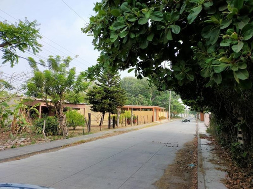 Imagen 3 de 12 de Terreno En Venta El Tejar