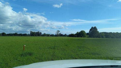 Parcelas Planas A 30 Minutos De Valdivia