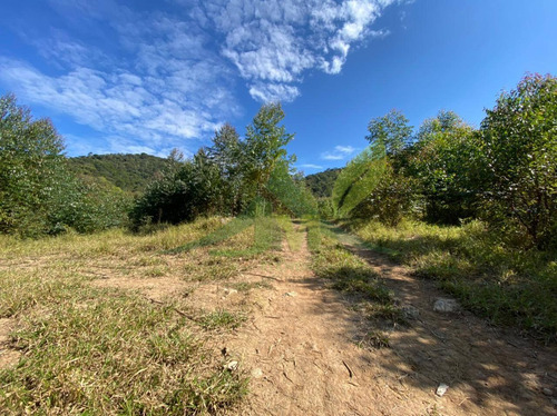 Imagem 1 de 8 de Sítio Em Piracaia 15 Alqueires R$600 Mil - 832